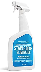 Best 409 carpet stain remover