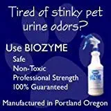 Best how to remove cat urine stains from carpet