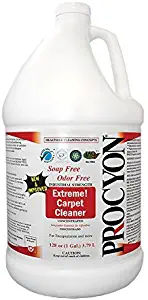 Best carpet and couch cleaner rental