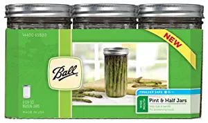 Best hand blender mason jar