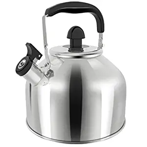 Best the  stainless steel tea kettle