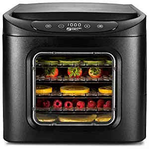 Best how much is a dehydrator