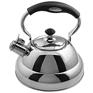 Best copper stainless steel tea kettle