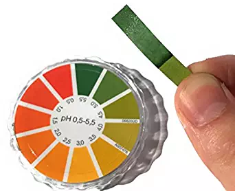 Best ph meter for food canning