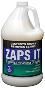 Best carpet cleaner for urine odor