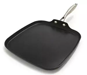 Best stainless steel non stick griddle