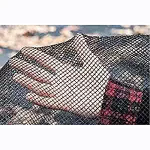 Best vacuum leaves from pool