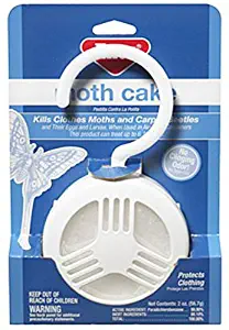 Best moth infestation in carpet