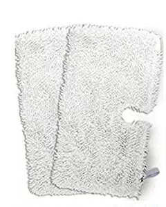 Best floor steam cleaner costco