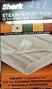 Best  steam mop brand