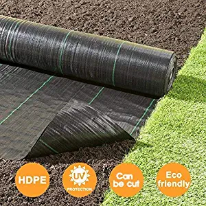 Best pro cut lawn and landscape