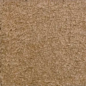 Best cut loop carpet styles