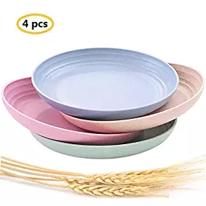 Best unbreakable dinnerware microwave dishwasher safe