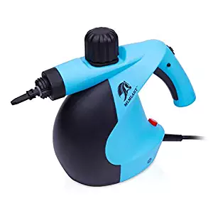 Best which  buy handheld steam cleaner