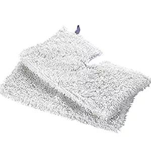 Best what is the  home carpet steam cleaner