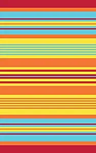 Best  carpet cleaner for rent