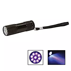 Best dried blood stains carpet