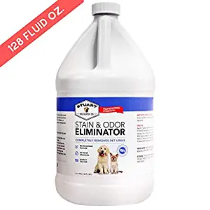 Best  cleaner for dog urine in carpet