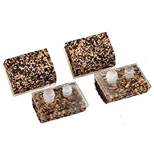 Best hayward ultra pool vacuum