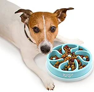 Best how does dishwasher air gap work