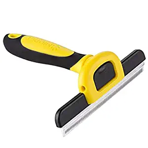 Best can you be allergic to carpet