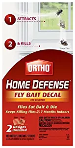 Best vacuum fleas off dog