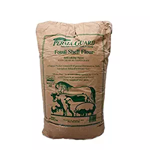 Best flea control carpet powder