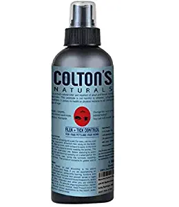 Best flea control carpet powder