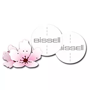 Best stanley steemer odor out plus