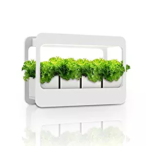 Best home indoor garden kit