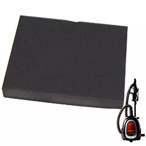 Best  canister vacuum for hard floors