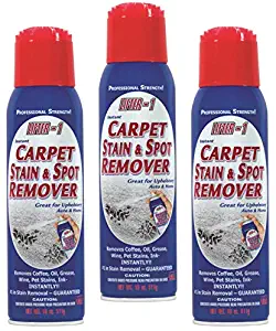 Best salt to clean carpet