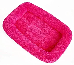 Best  wool carpet manufacturers