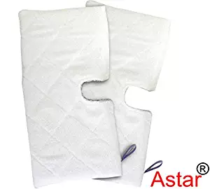 Best floor steam cleaner costco