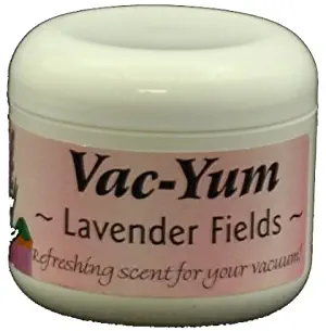 Best air freshener for bagless vacuum cleaner