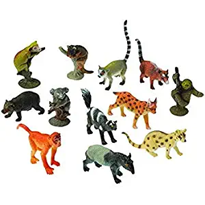 Best ape home kit