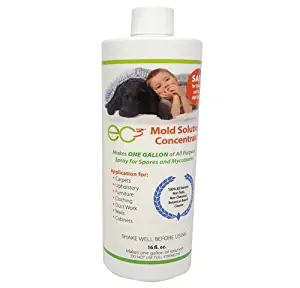 Best remove laundry detergent from carpet
