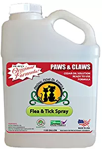Best flea control carpet powder