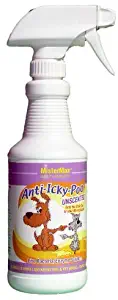 Best host carpet cleaning reviews