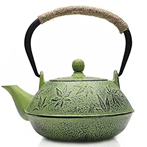 Best cast iron tea kettle steamer