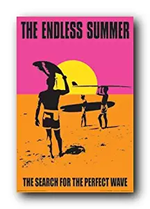 (24x36) The Endless Summer Movie Holding Surfboard Poster Print