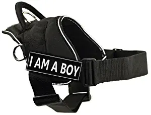 DT Fun Harness, I Am A Boy, Black With Reflective Trim, Large - Fits Girth Size: 32-Inch to 42-Inch