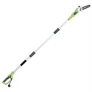 Greenworks 8.5' 6.5 Amp Corded Pole Saw with Case 20192