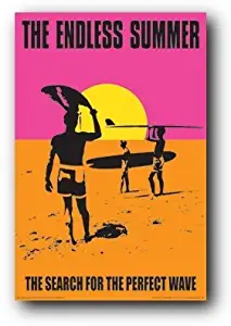 Culturenik Endless Summer Classic Movie Poster (27 x 40 unframed)