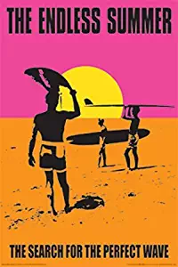 Classic Endless Summer 36x24 Movie Art Print Poster Wall Decor Surfing Surfboards Beach Sunset orange Pink and Yellow