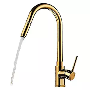 Lovedima Luxurious High-Arc Single Handle 1-Hole Solid Brass Pull-out Spray Kitchen Faucet in Gold (Gold)