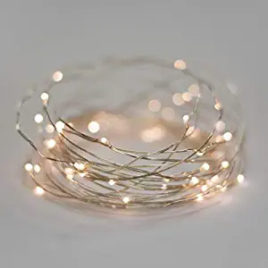 33 ft String Lights Indoor Outdoor Special Event Patio Fall Party Wedding Firefly Fairy Christmas Copper LED Warm White Remote Holidays Dorm Halloween Thanksgiving Ambiance Bedroom Plug in Outlet (1)